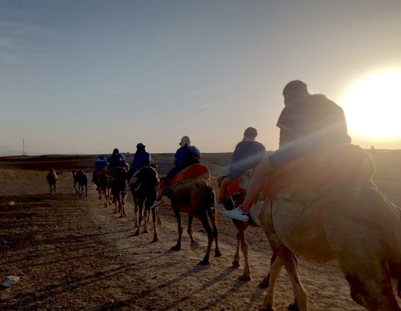 Camel Ride in Agafay