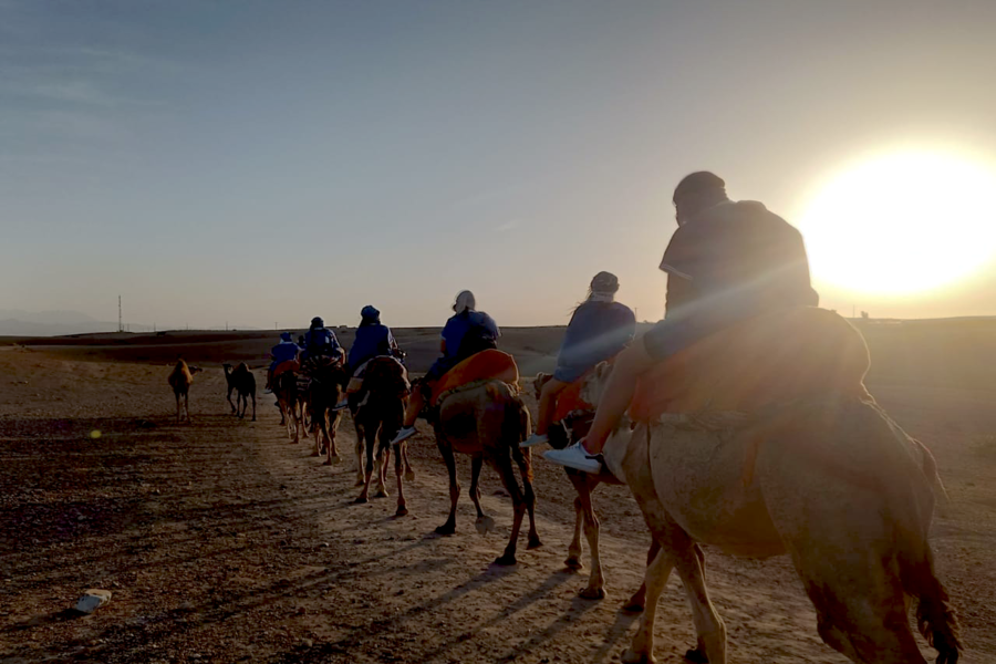 Camel Ride in Agafay