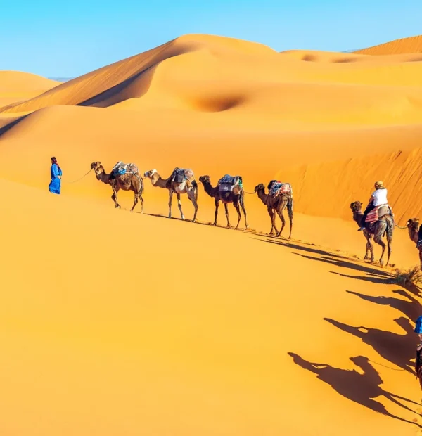 Morocco tour: from Marrakech to the Sahara : 7 nights