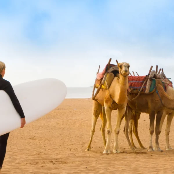 Round trip Marrakech - Essaouira - Agadir : 14 nights